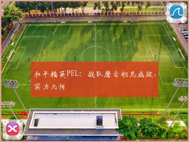 和平精英PEL：战队磨合初见成效，实力几何